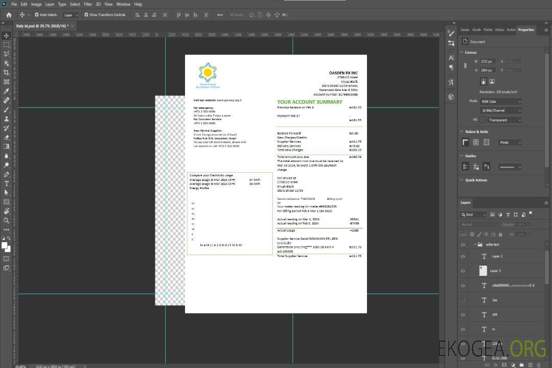 Modèle de facture de services publics de l'Association israélienne de l'énergie verte d'Israël aux formats Word et PDF template